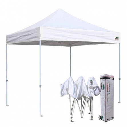 STANDARD 10x10 Canopy Tent  (Select Color)