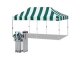 Stripe Green / White